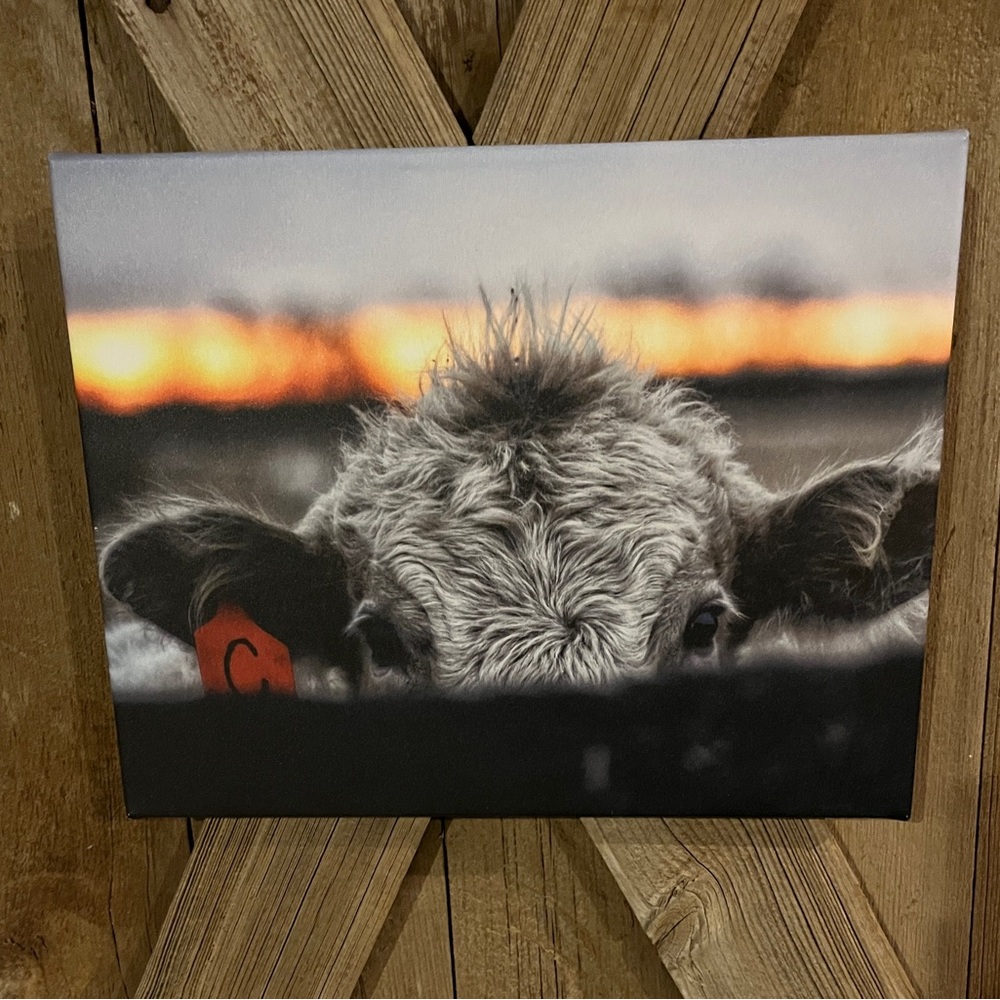 Cow on canvas